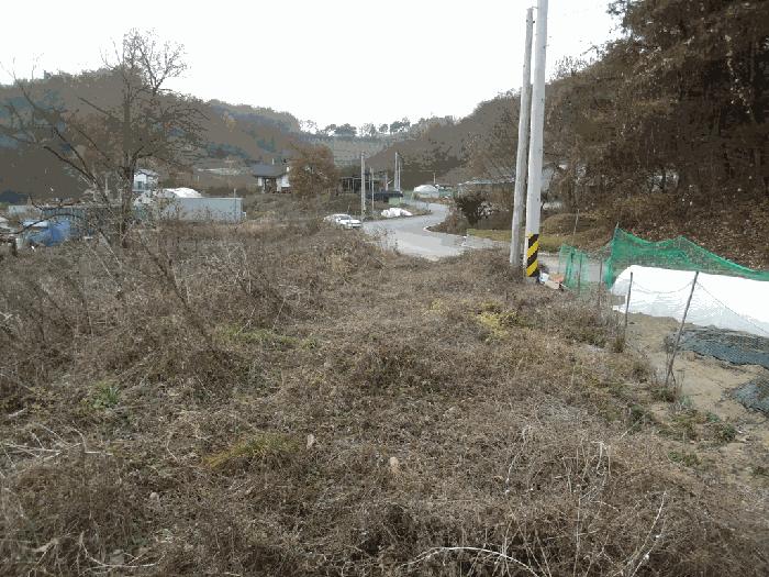 충청북도 청주시 상당구 남일면 화당리 466 전 경매 사진 2