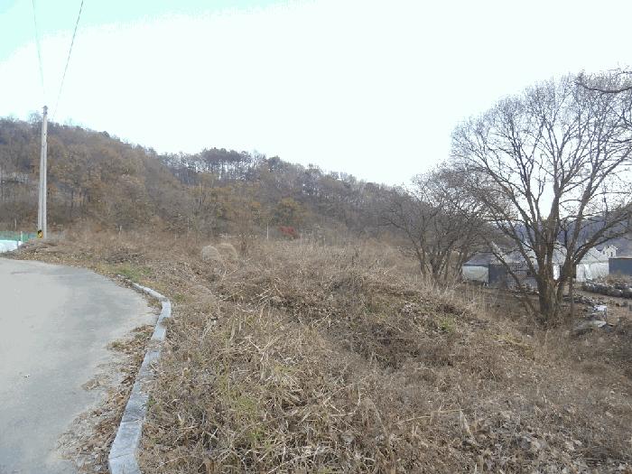 충청북도 청주시 상당구 남일면 화당리 466 전 경매 사진 3