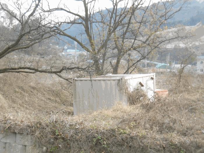충청북도 청주시 상당구 남일면 화당리 466 전 경매 사진 4
