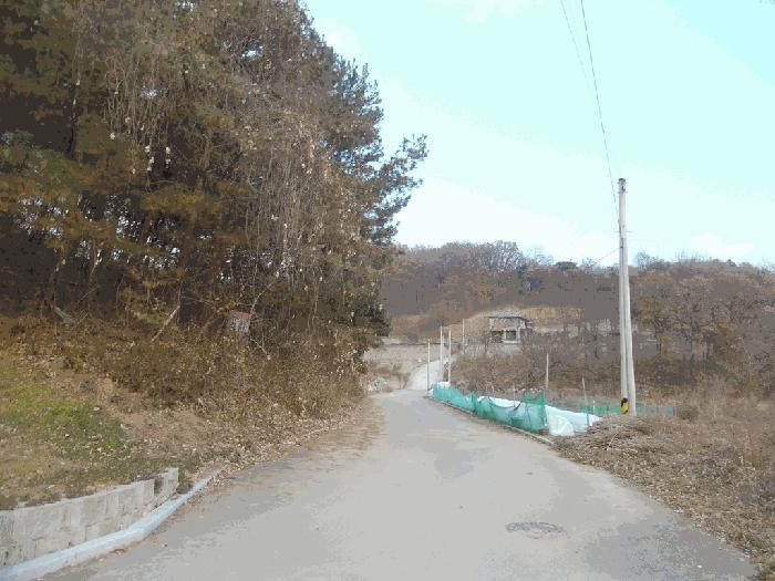 충청북도 청주시 상당구 남일면 화당리 466 전 경매 사진 5