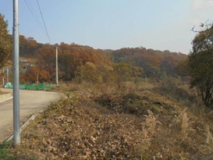 충청북도 청주시 상당구 남일면 화당리 466 전 경매 사진 6