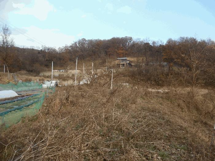 충청북도 청주시 상당구 남일면 화당리 466 전 경매 사진 7