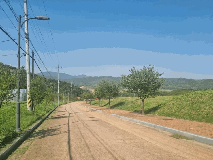 경상북도 상주시 은척면 남곡리 622-4 대지 경매 사진 2