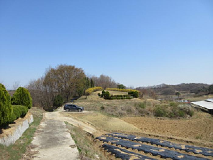 경상북도 예천군 용궁면 대은리 산103 임야 경매 사진 16