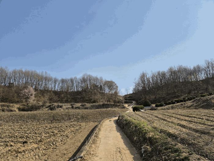 경상북도 예천군 용궁면 대은리 산103 임야 경매 사진 2