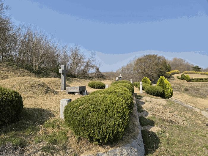 경상북도 예천군 용궁면 대은리 산103 임야 경매 사진 7