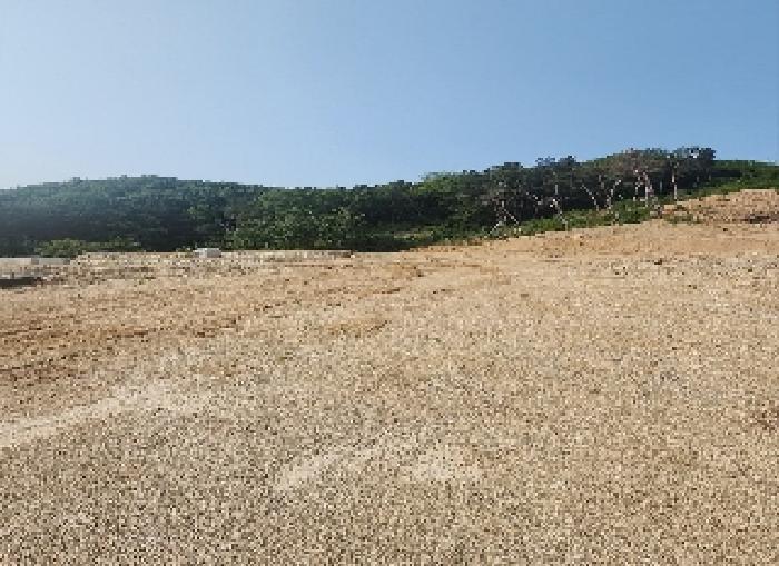 충청북도 옥천군 청산면 교평리 185-1 전 경매 사진 13