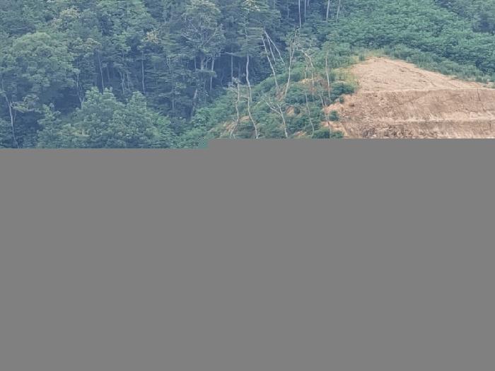 충청북도 옥천군 청산면 교평리 185-1 전 경매 사진 14