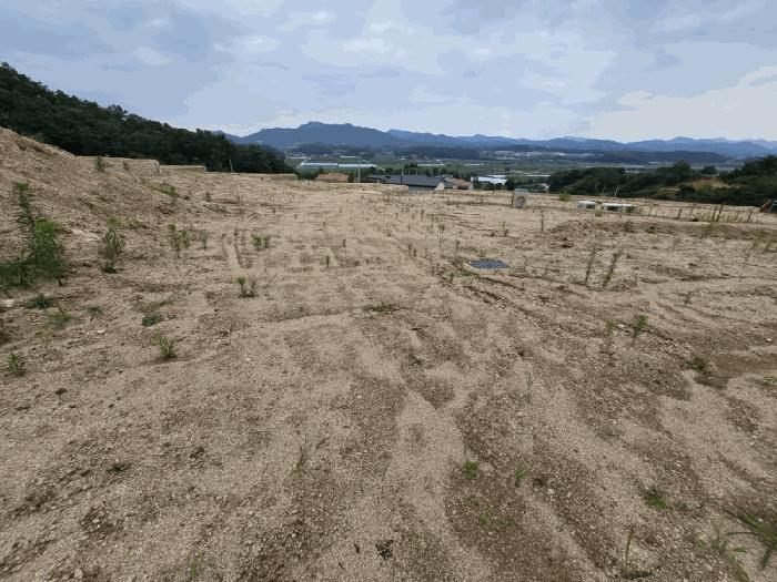 충청북도 옥천군 청산면 교평리 185-1 전 경매 사진 4