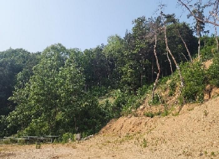 충청북도 옥천군 청산면 교평리 185-1 전 경매 사진 8