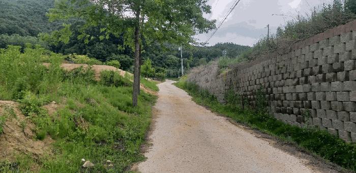 충청북도 영동군 추풍령면 죽전리 842-1 전 경매 사진 10