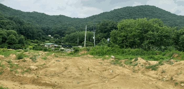 충청북도 영동군 추풍령면 죽전리 842-1 전 경매 사진 11