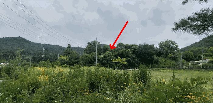 충청북도 영동군 추풍령면 죽전리 842-1 전 경매 사진 13