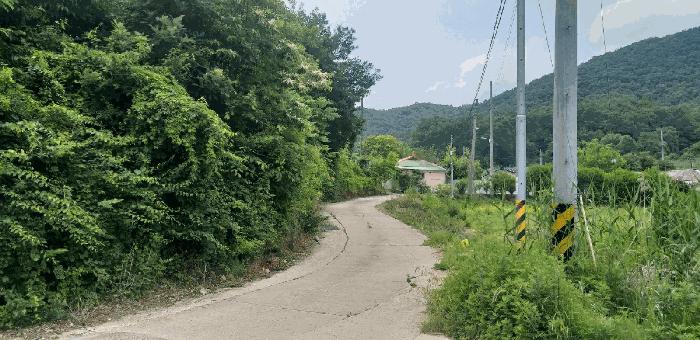 충청북도 영동군 추풍령면 죽전리 842-1 전 경매 사진 2