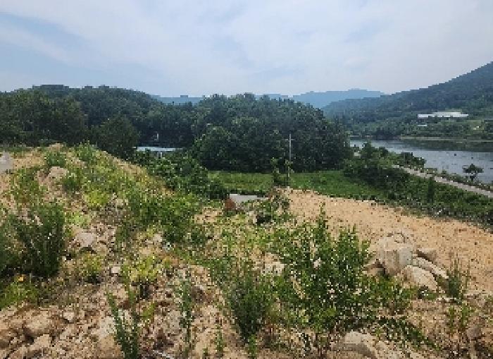 충청북도 영동군 추풍령면 죽전리 842-1 전 경매 사진 22