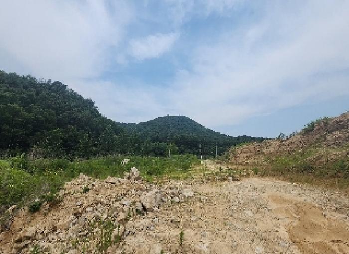 충청북도 영동군 추풍령면 죽전리 842-1 전 경매 사진 26