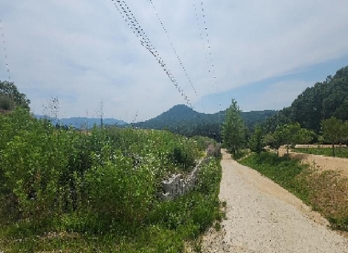 충청북도 영동군 추풍령면 죽전리 842-1 전 경매 사진 30