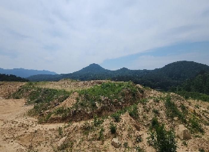 충청북도 영동군 추풍령면 죽전리 842-1 전 경매 사진 34