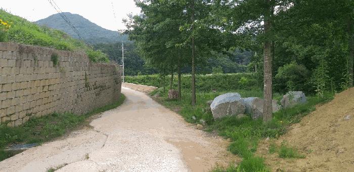 충청북도 영동군 추풍령면 죽전리 842-1 전 경매 사진 7