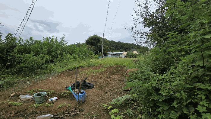 충청북도 영동군 영동읍 부용리 370-3 전 경매 사진 1