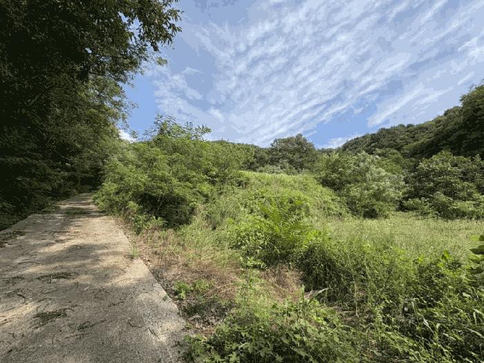 충청북도 영동군 양산면 원당리 165 과수원 경매 사진 8