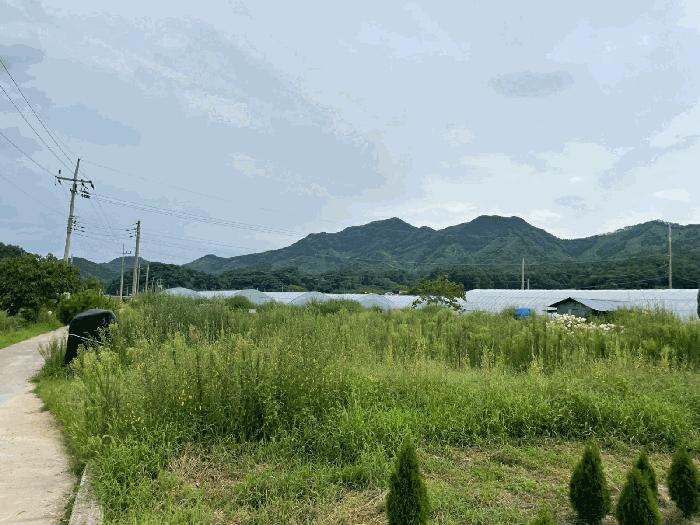 충청북도 옥천군 이원면 지정리 514 답 경매 사진 1