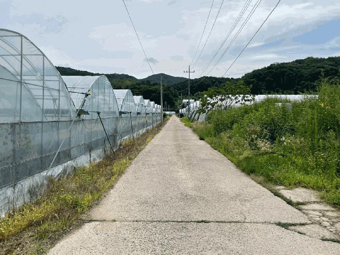 충청북도 옥천군 이원면 지정리 514 답 경매 사진 9