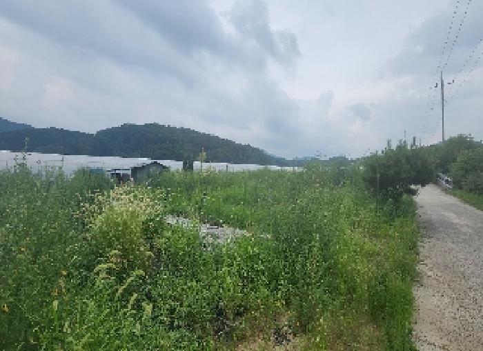 충청북도 옥천군 이원면 강청리 39-18 한내빌라 에이동 5층501호 다세대(빌라) 경매 사진 11