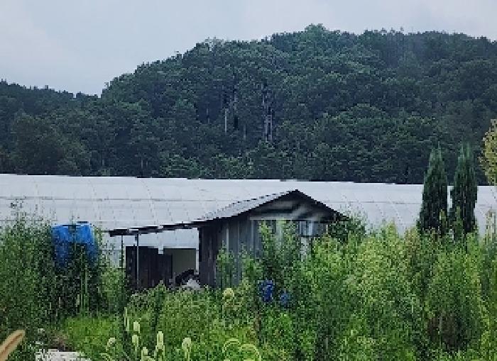 충청북도 옥천군 이원면 강청리 39-18 한내빌라 에이동 5층501호 다세대(빌라) 경매 사진 12