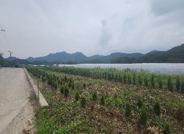 충청북도 옥천군 이원면 강청리 39-18 한내빌라 에이동 5층501호 다세대(빌라) 경매 사진 13