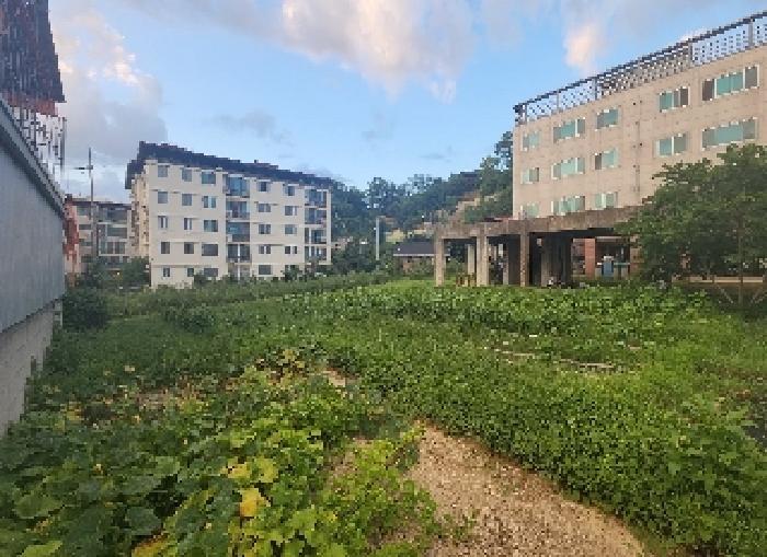 충청북도 영동군 영동읍 매천리 405-4 과수원 경매 사진 12