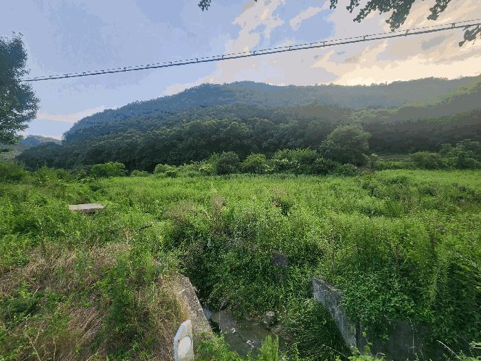 충청북도 옥천군 청성면 화성리 434 답 경매 사진 1
