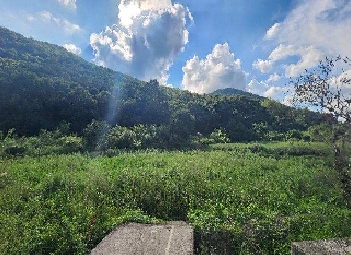 충청북도 옥천군 청성면 화성리 434 답 경매 사진 6