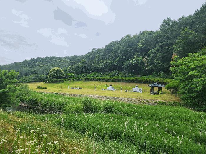 충청북도 영동군 용산면 매금리 309 묘지 경매 사진 10