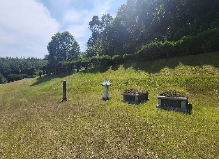 충청북도 영동군 용산면 매금리 309 묘지 경매 사진 16