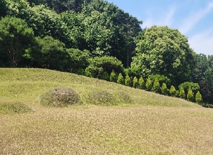 충청북도 영동군 용산면 매금리 309 묘지 경매 사진 22