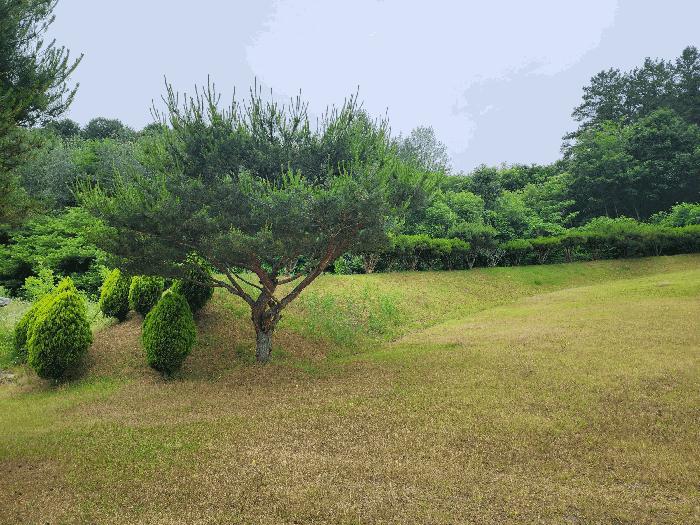 충청북도 영동군 전