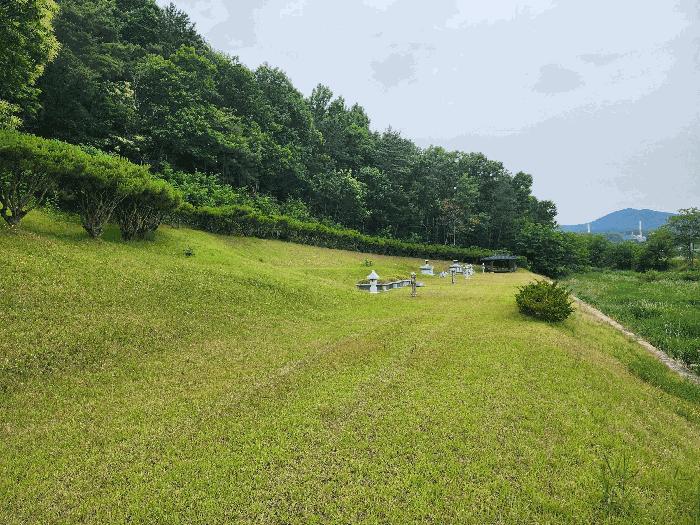 충청북도 영동군 용산면 매금리 310 전 경매 사진 11