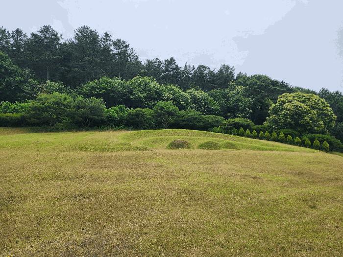 충청북도 영동군 용산면 매금리 310 전 경매 사진 12