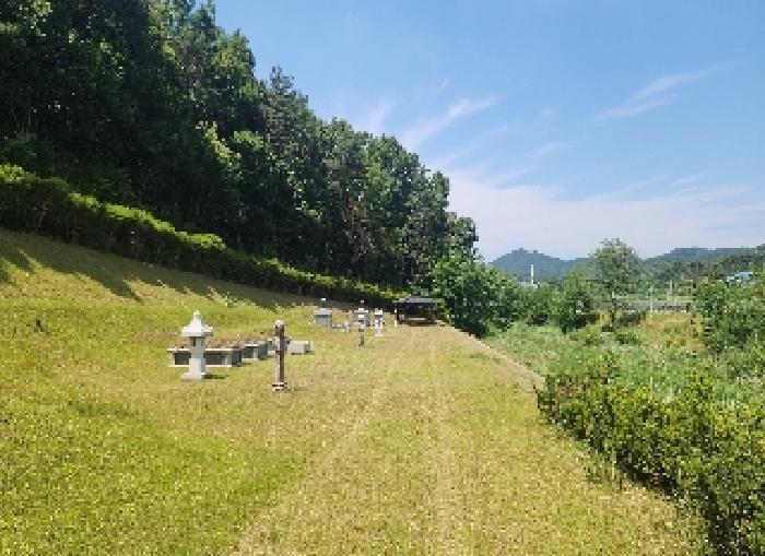 충청북도 영동군 용산면 매금리 310 전 경매 사진 15