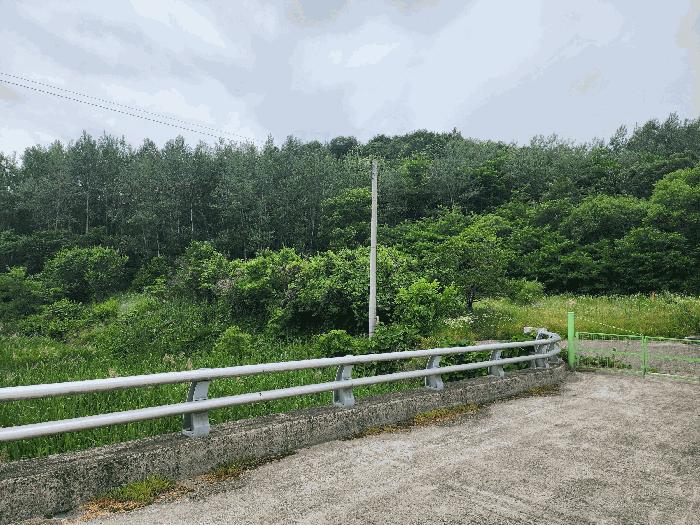 충청북도 영동군 용산면 매금리 310 전 경매 사진 2