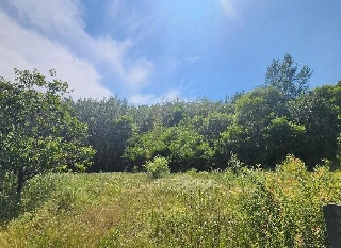 충청북도 영동군 용산면 매금리 310 전 경매 사진 23