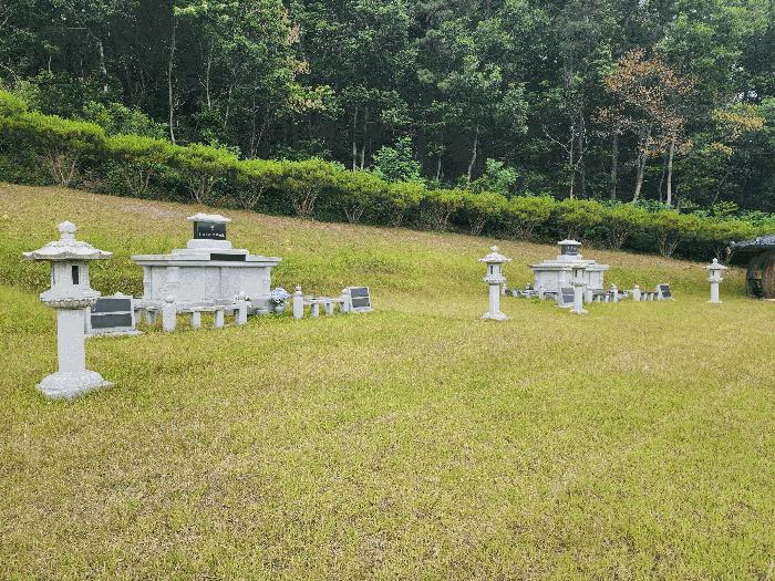 충청북도 영동군 용산면 매금리 310 전 경매 사진 3