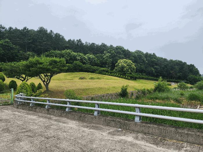 충청북도 영동군 용산면 매금리 310 전 경매 사진 6