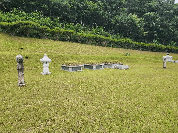 충청북도 영동군 용산면 매금리 310 전 경매 사진 7