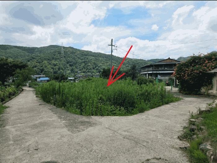 대구광역시 동구 백안동 221 답 경매 사진 3