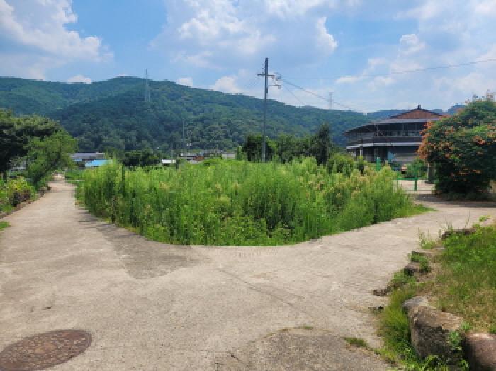 대구광역시 동구 백안동 221 답 경매 사진 4