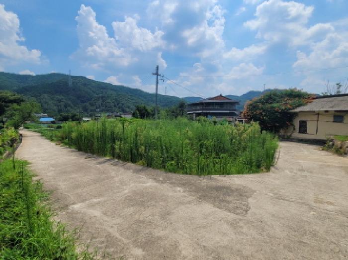 대구광역시 동구 백안동 221 답 경매 사진 5