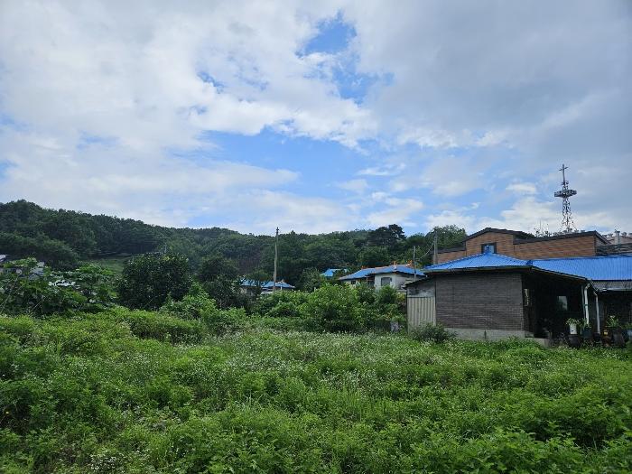 세종특별자치시 연동면 노송웅골길 19-3구) 세종특별자치시 연동면 노송리 산9-85 주택 경매 사진 3