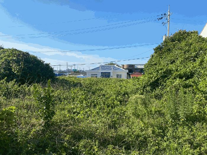 제주특별자치도 서귀포시 성산읍 고성리 559-24 대지 경매 사진 3